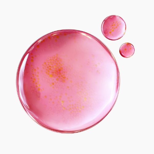 TXA 6 Niacinamide 10 Retinal Serum - Purito SEOUL